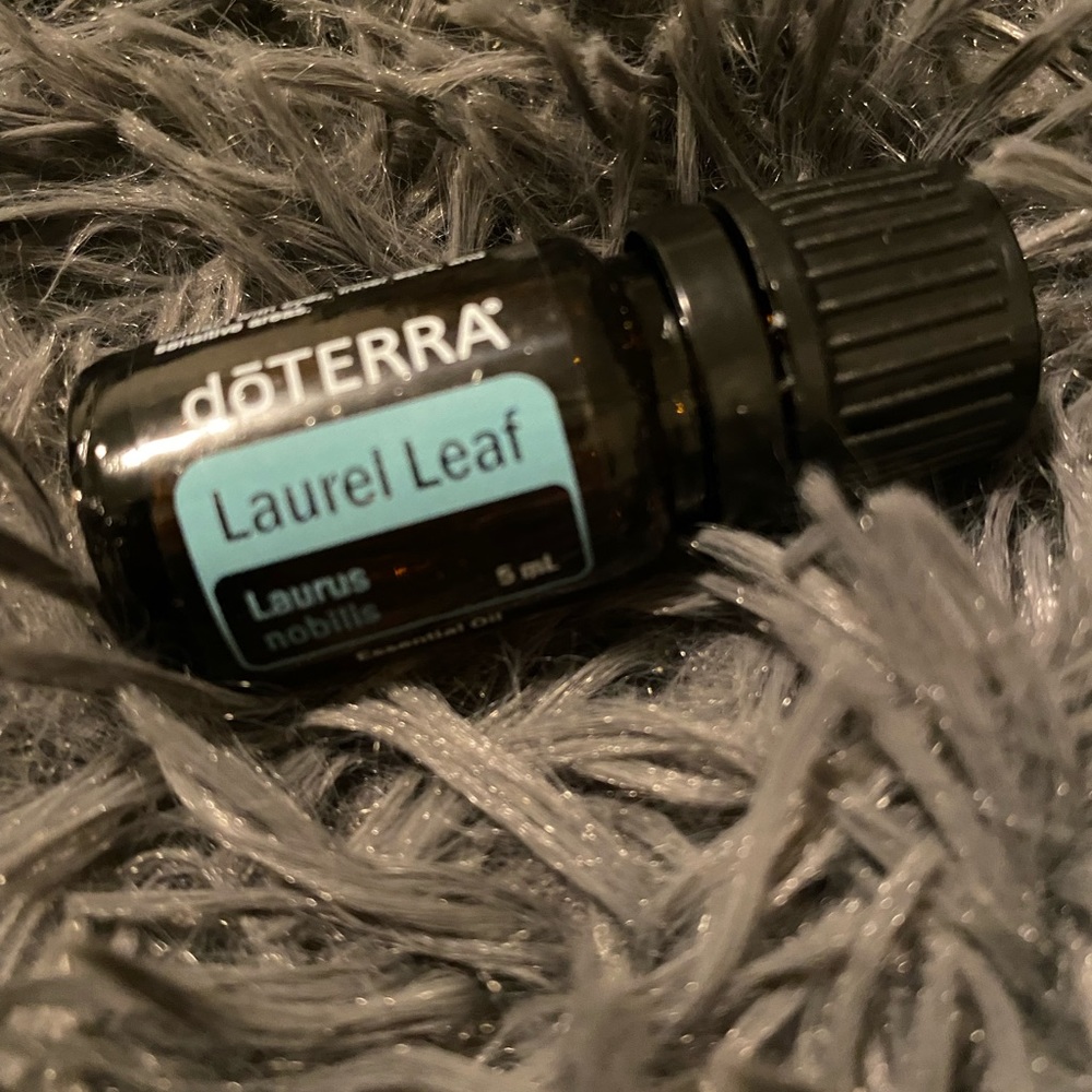 Laurel leaf new